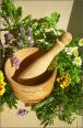 Herbal Headache Remedies Articles Herbal Headache Remedies Articles